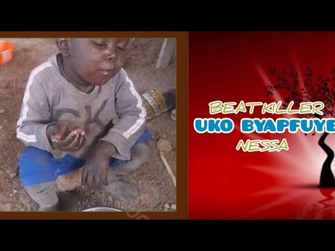 Beat killer _ Uko Byapfuye Feat Nessa ( Official Visualizer )