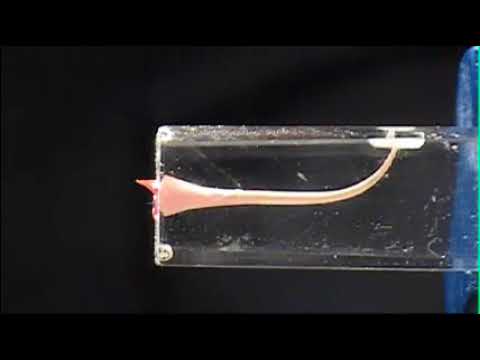 VDW Dental · How To: Revision mit RECIPROC