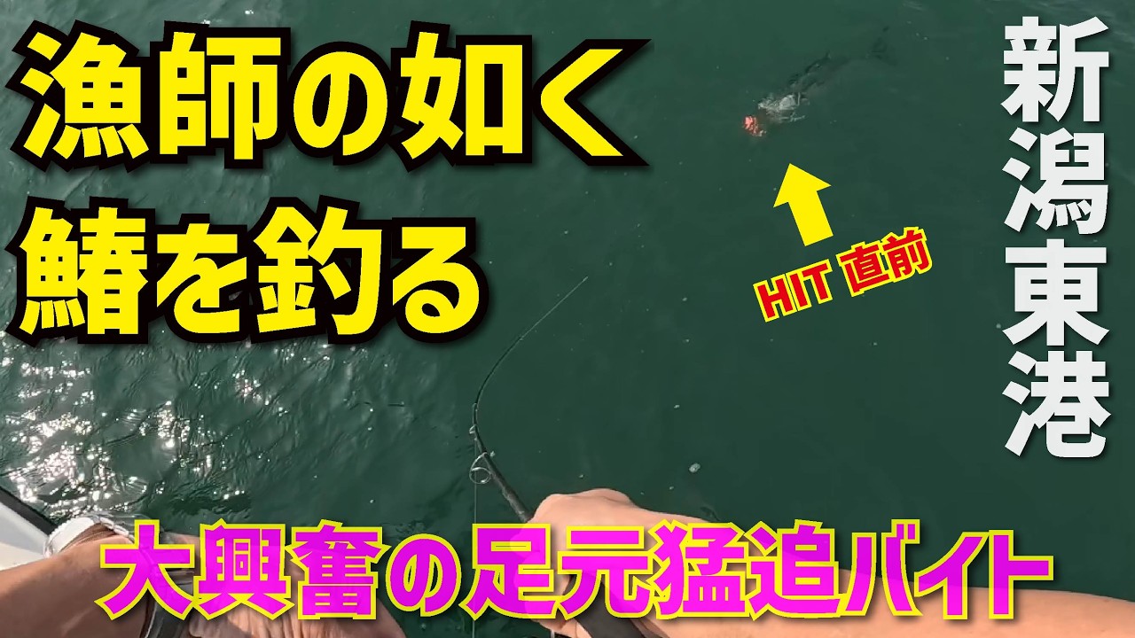 ただ巻くだけでサワラ爆釣！？初春の新潟東港サワラキャスティングゲームでボス太田がサワラをヘビー乱舞る！