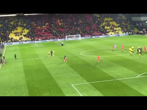Pitch invader Norwich city fans electric and outsung watford from minute one brilliant from us coy🔰