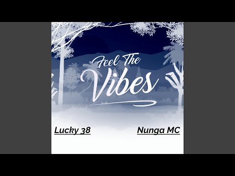Feel The Vibes (feat. Lucky 38)
