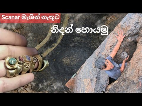 මේ සාධක ඔයාලගේ වත්තෙත් තියෙනවා නම් ගොඩම තමයි ( අනිවාර්යයෙන් වීඩියෝ එක බලන්න ) 💎 #hunterboy 