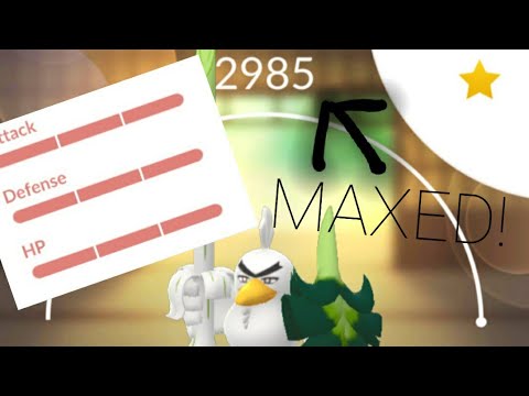 Maxing and evolving 100IV Galarian Farfetch'd into Sirfetch'd in Pokémon Go