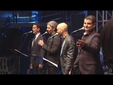 Golubovi - 4 Tenora (Cibona)