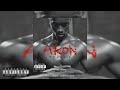 Akon Gunshot Fiesta Riddim Acapella Vocals Only