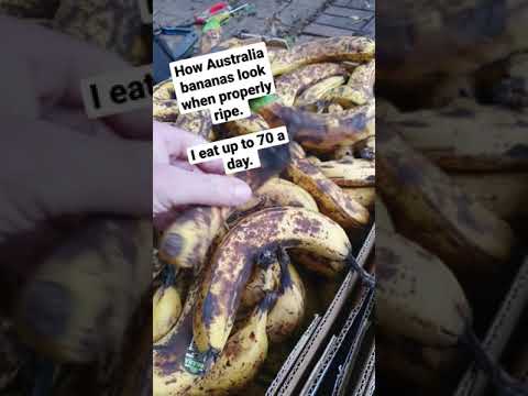 I eat up to 70 bananas a day #cycling #shorts #vegan