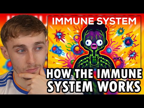 Reacting to How The Immune System ACTUALLY Works