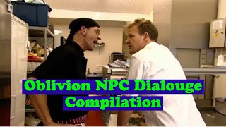 10 Minutes of Oblivion NPC Dialogue Memes