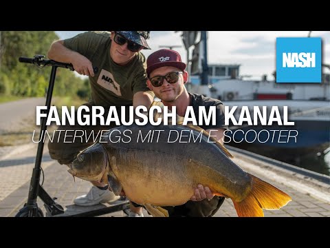 Karpfenangeln am Kanal - Unterwegs mit dem E Scooter - Max & Moritz bei NASH TV