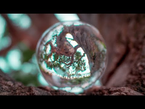Is a LENSBALL worth $40?