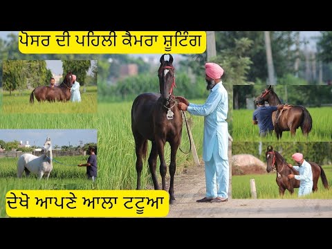 ਆਪਣੇ ਆਲੇ ਪੋਰਸ ਦੀ ਵੀਡੀਓ ਆ,,,ਟੈਮ ਖਰਾਬ ਨਾਂ ਕਰਿਓ ਬਾਹਲਾ ਚੰਗਾ ਨੀ ਜਾਨਵਰ ਆਪਣੇ ਆਲਾ