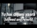 Tu Hai Dil Jani Yaara Slowed And Reverb Musiceditors14