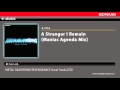 A Stranger I Remain (Maniac Agenda Mix) / METAL ...
