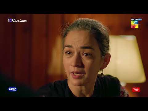 Hikmat Ne Itne Azaabon Ke Hotay Huye Khuda Ka Azaab Bhi Apne Sar Le Liya - Sang-e-Mah - HUM TV