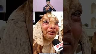 Download lagu Respect Azan #allah #shorts #azan mp3 Download lagu Respect Azan #allah #shorts #azan mp3