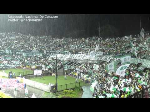 "LOS DEL SUR / Nunca pero nunca verde te abandonaremos   [HD]" Barra: Los del Sur • Club: Atlético Nacional