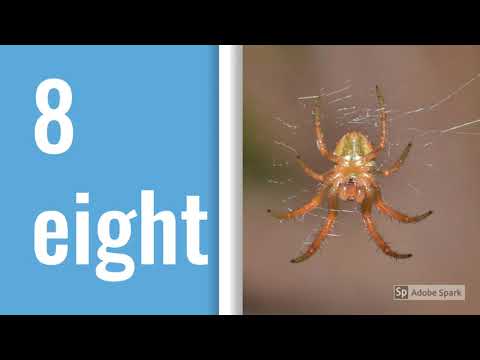 Counting 1-10 in Chaldean