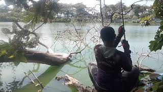 Download lagu FISHING VIDEO, OVER A FALLEN TREE#fishing mp3