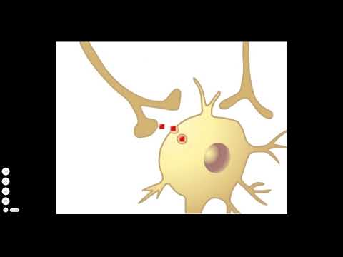 y2meta com   Tetanus Toxin