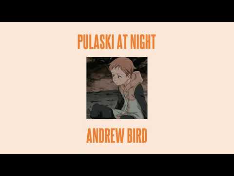 Andrew Bird - Pulaski at Night {slowed + reverb}