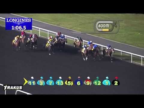 16.01.2014 Meydan (Dubai-UAE) 3.Race UAE 2000 Guineas Trial - Conditions 1.400 m