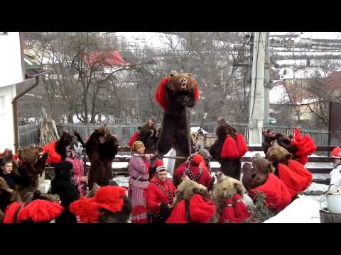 Ursii din Asau pe 27.12.2012 la Moinesti