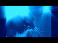 Talking Cat Says Oh Long Johnson But I Vocoded It