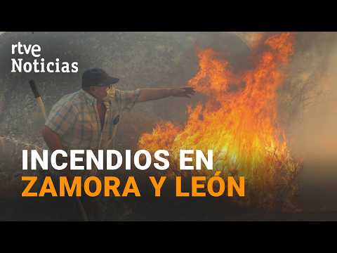 Els incendis cerquen Zamora i Lleó: centenars d'evacuats i quatre focs a nivell 2