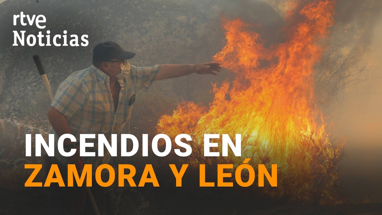 Los incendios cercan Zamora y León: cientos de evacuados y cuatro fuegos en nivel 2 | RTVE Noticias