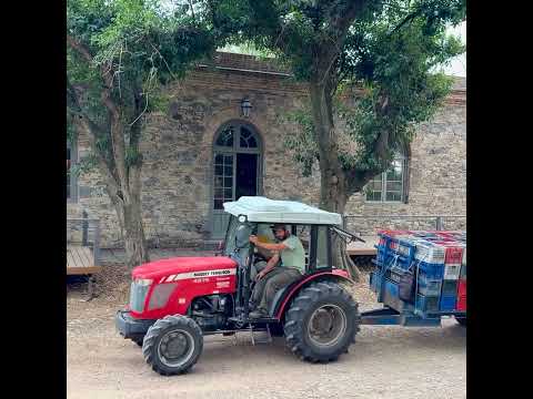 La bodega más antigua de Uruguay a solo 25 minutos de Colonia