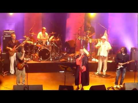 Emir Kusturica & The No-Smoking Orchestra - Pitbull Terrier (Live at Montreal Jazz Fest)