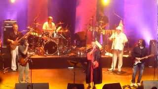 Emir Kusturica & The No-Smoking Orchestra - Pitbull Terrier (Live at Montreal Jazz Fest)