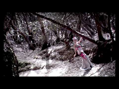 Juan Carlos Armas. Colección Borboleta