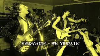 Vibrators - We Vibrate {1976}