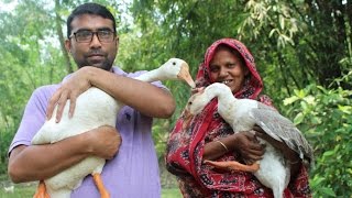 Village Food | Swan curry recipe | Big ducks curry | Grandmother recipes-51