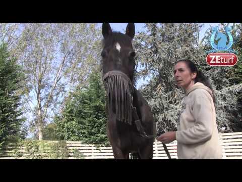 ZAPPING A2TURF SEPTEMBRE 2014 (Part 4) - A2TURF.COM