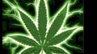 C-KAN -NO LLORES MAMÁ