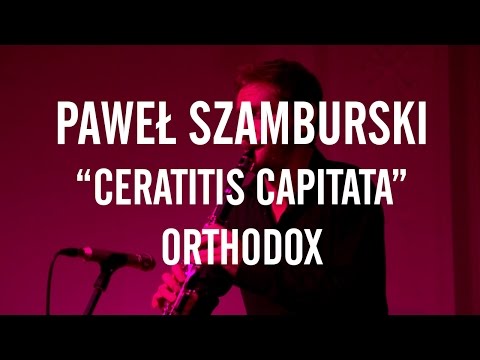 PAWEŁ SZAMBURSKI / CERATITIS CAPITATA / Orthodox