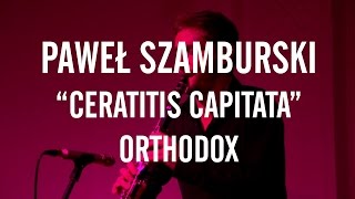 PAWEŁ SZAMBURSKI / CERATITIS CAPITATA / Orthodox