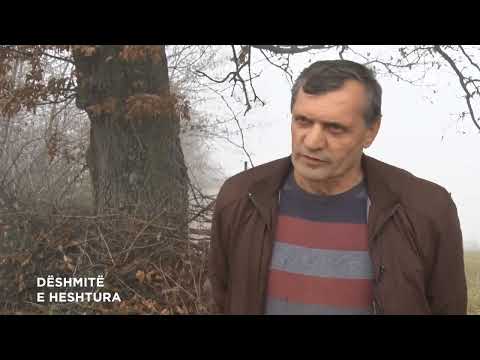 DËSHMITË E HESHTURA - MASAKRA E KRALANIT  15.12.2020