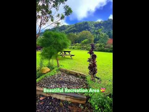 Recreation Area #shorts #viralvidio #nature #birdsounds #explore #discovery #travel #beautiful