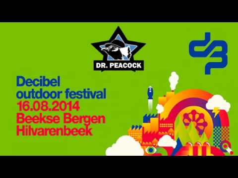 Dr. Peacock @ Darkness4Live Decibel Festival 2014