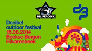 Dr. Peacock @ Darkness4Live Decibel Festival 2014
