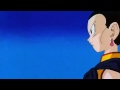 Dragon Ball Z Chi Chi Turns Into An Egg