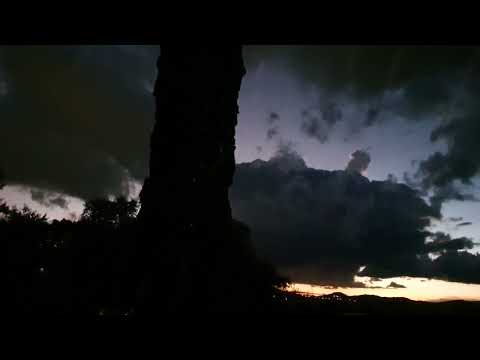 Egberto Gismonti - Geri Allen Trio - Carla Bley Trio, Willisau (1991)