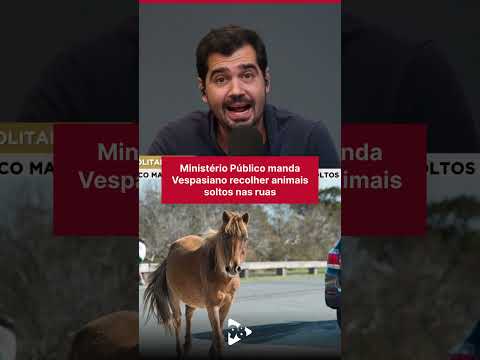 Ministério Público manda Vespasiano recolher animais soltos nas ruas