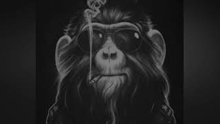 Download lagu Dance On Cocaine (s.O)   I can't fell no better (Ziio)   Waking On The Dream (Ziio)   Bopvu Bopvu mp3