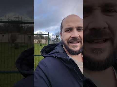 Super technique pour faire revenir votre chien 👍