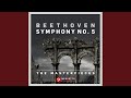 Symphony No. 5 in C Minor, Op. 67: I. Allegro con brio