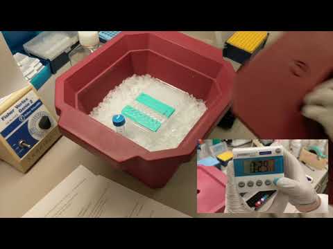 Flow Cytometry Course "Hands on Demo"